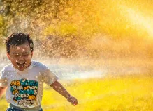 Celebrate Your Wife's Special Day with Heartwarming Birthday Wishes!