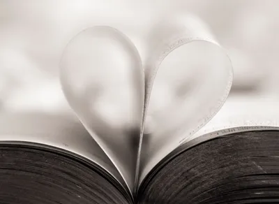 Celebrate Your Love: Heartfelt Birthday Quotes for My Husband