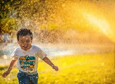 Celebrate Your Wife's Special Day with Heartwarming Birthday Wishes!