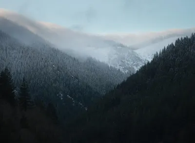 Celebrate Your Sisters' Special Day with a Happy Birthday Surprise